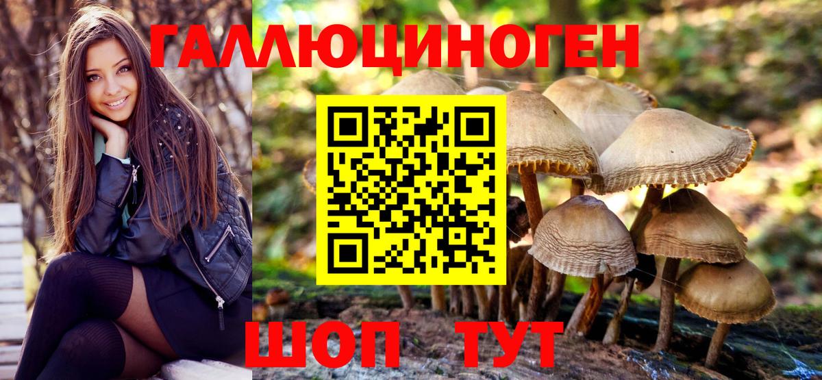 Псилоцибиновые грибы GOLDEN TEACHER  Псилоцибиновые грибы Psilocybine cubensis  Вход с VPN  Ульяновск 